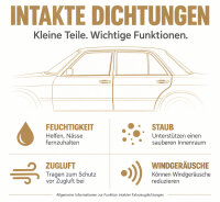 Frontscheibe Dichtung Fenster vorne Wetterdichtung Gummi für Mercedes W111