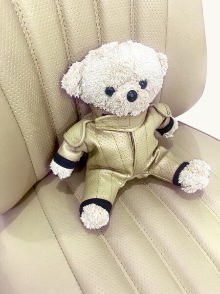 Teddy PS-Paule Maskottchen Oldtimer Rennsportjacke für Mercedes
