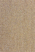 Teppich Teppichsatz Autoteppich für VW Käfer Typ 1 1958 - 1968 beige (Schlinge)