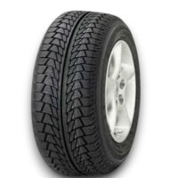 Nankang SV R1 195/50 R15 Nordic Winterreifen