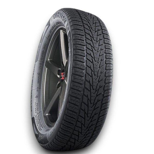 Nankang SV R4 Winterreifen 195/55 R20