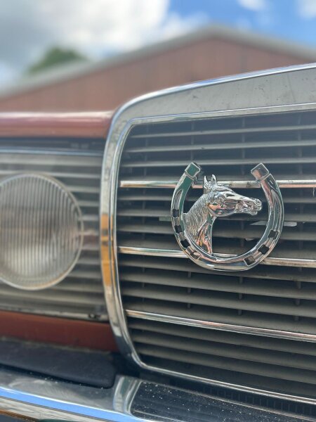 Chrom Hufeisen Kühlergrill Glücksbringer Oldtimer Mercedes VW Opel Porsche BMW