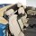 Windschott passend für Fiat 124 Spider in beige