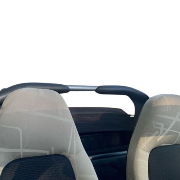 Windschott passend für Smart For Two A450 in schwarz