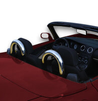 Überrollbügel für Fiat Barchetta (1995-2005) Chrom