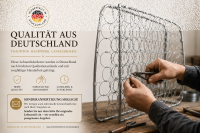 Lehnenfederkern Rückenlehne für Mercedes Benz 190SL 1955-1963 Beifahrerseite