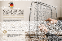 Lehnenfederkern Rückenlehne für Mercedes Benz W113