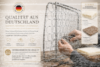Federkern Sitzfläche für Volkswagen VW Käfer 1955-1966