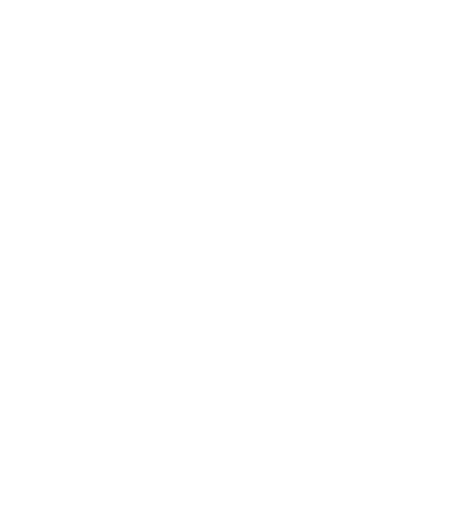Federkern Sitzfläche für Volkswagen VW Käfer 1972-1975